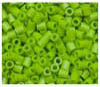 1000 Kiwi Lime 